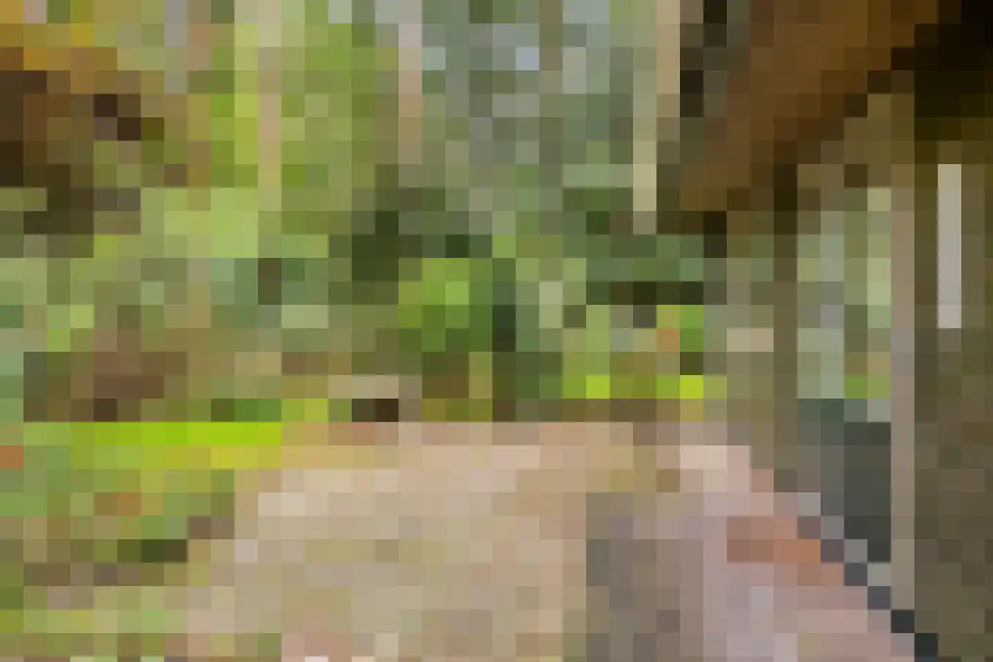 Meelkerlaan 13 Norg thumbnail 28