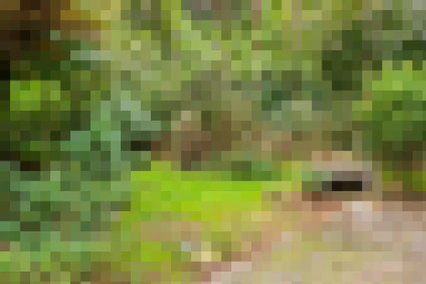 Meelkerlaan 13 Norg thumbnail 29