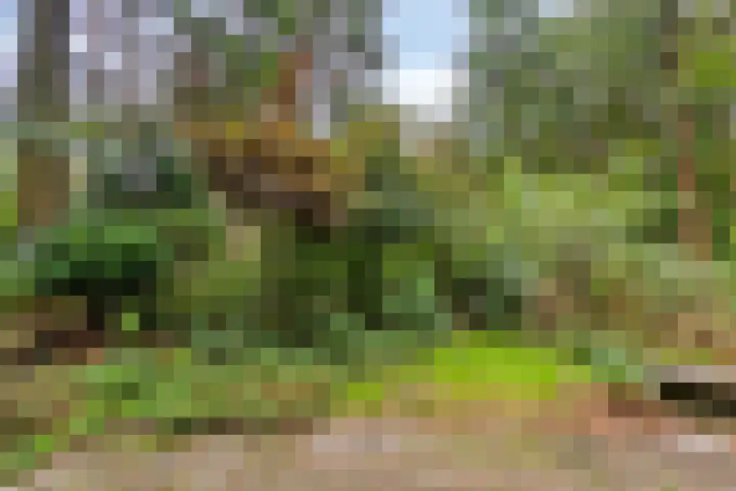 Meelkerlaan 13 Norg thumbnail 31
