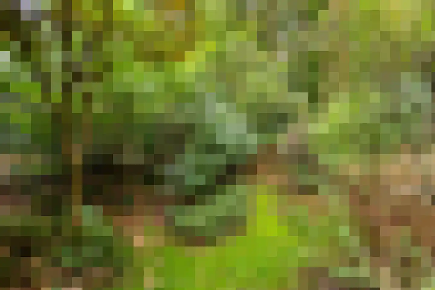 Meelkerlaan 13 Norg thumbnail 32