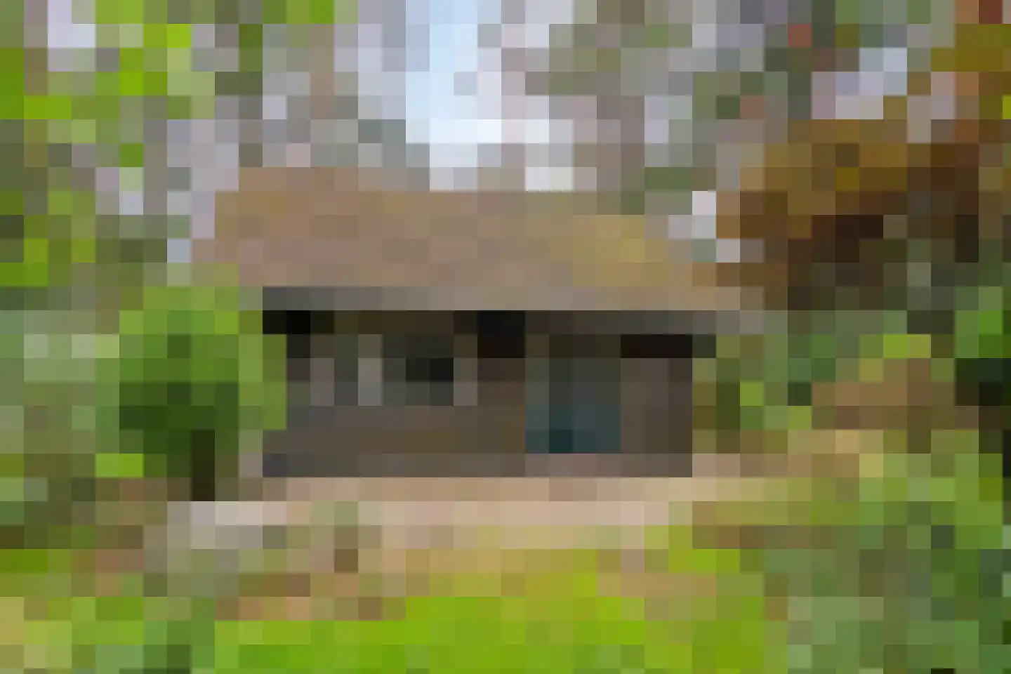 Meelkerlaan 13 Norg thumbnail 33