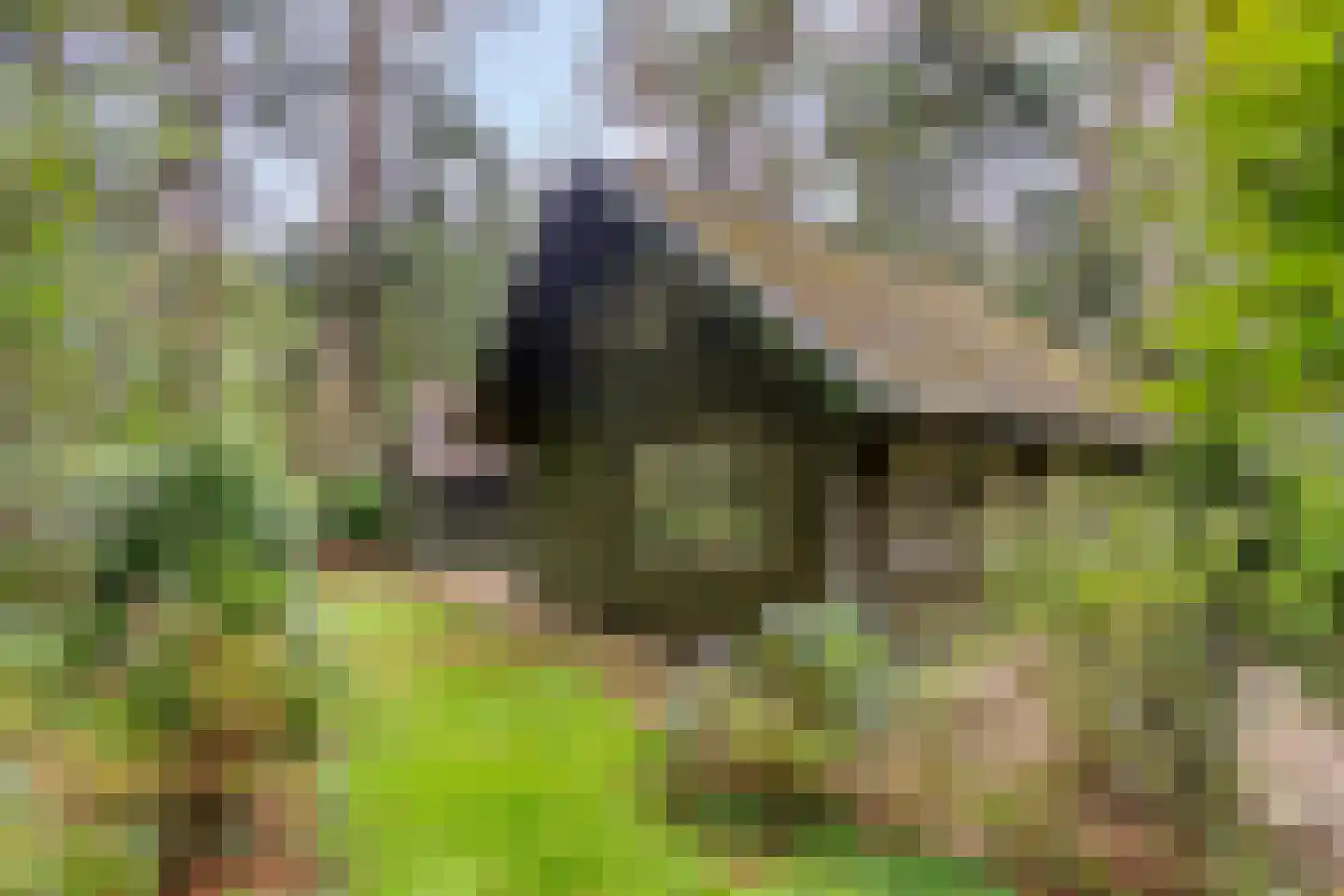 Meelkerlaan 13 Norg thumbnail 35