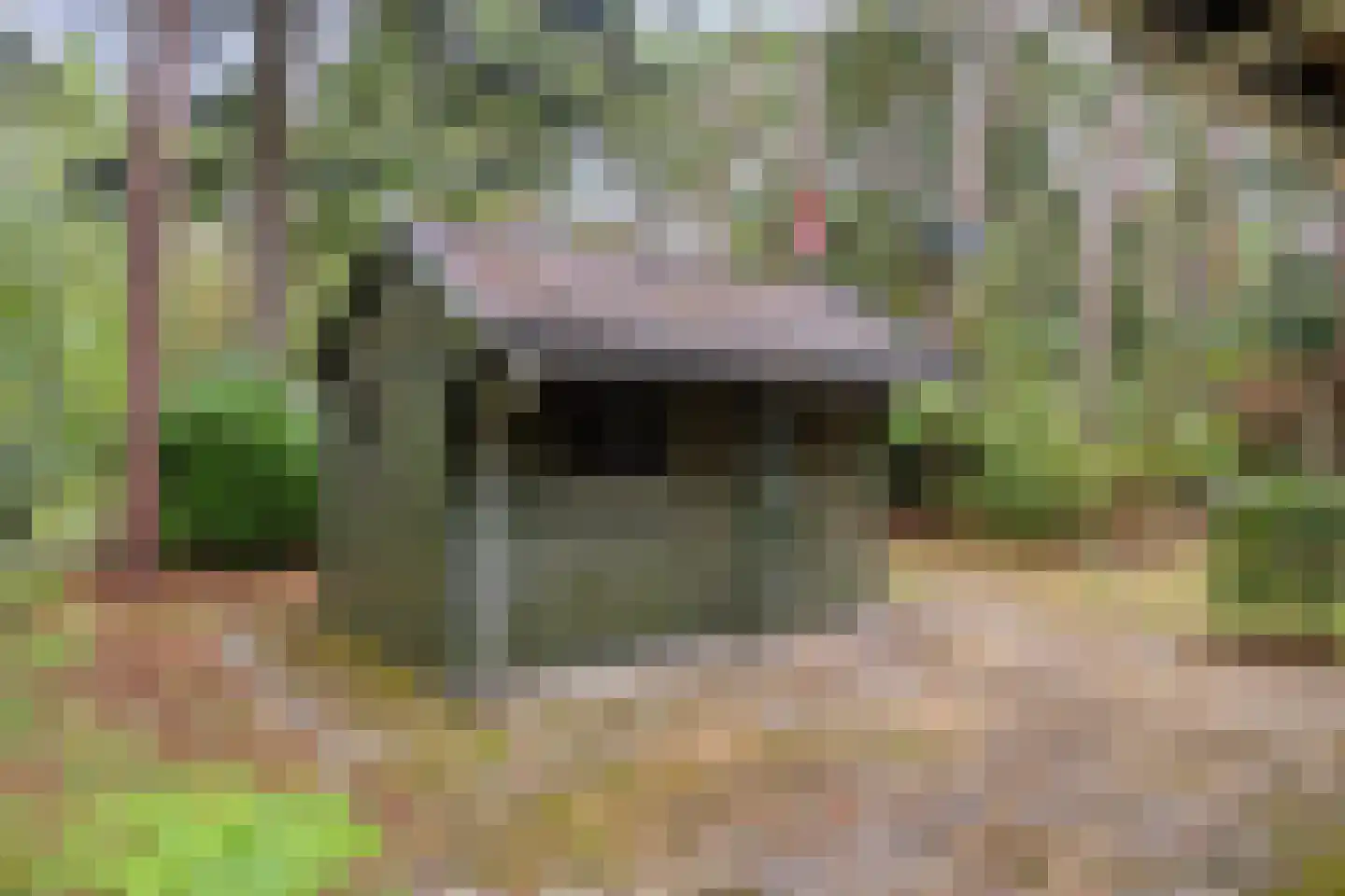 Meelkerlaan 13 Norg thumbnail 36