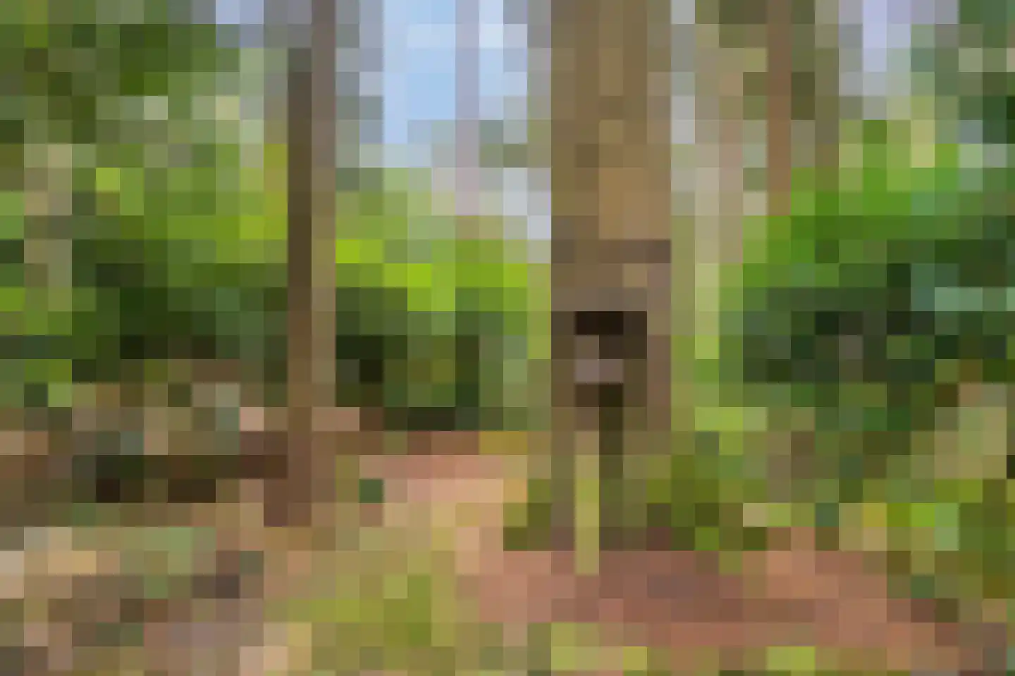 Meelkerlaan 13 Norg thumbnail 37