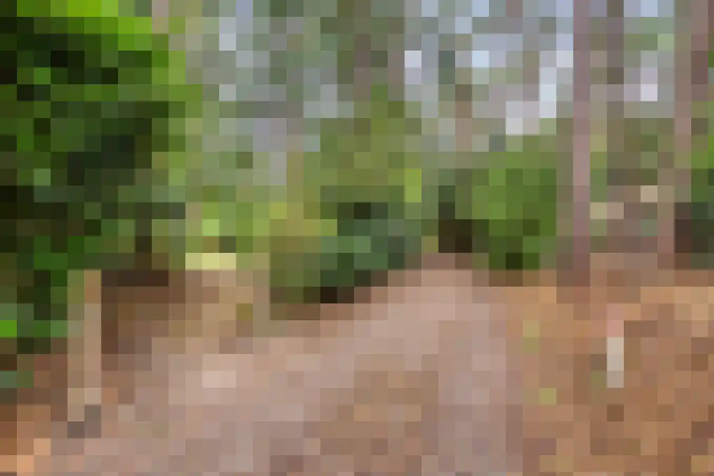 Meelkerlaan 13 Norg thumbnail 39