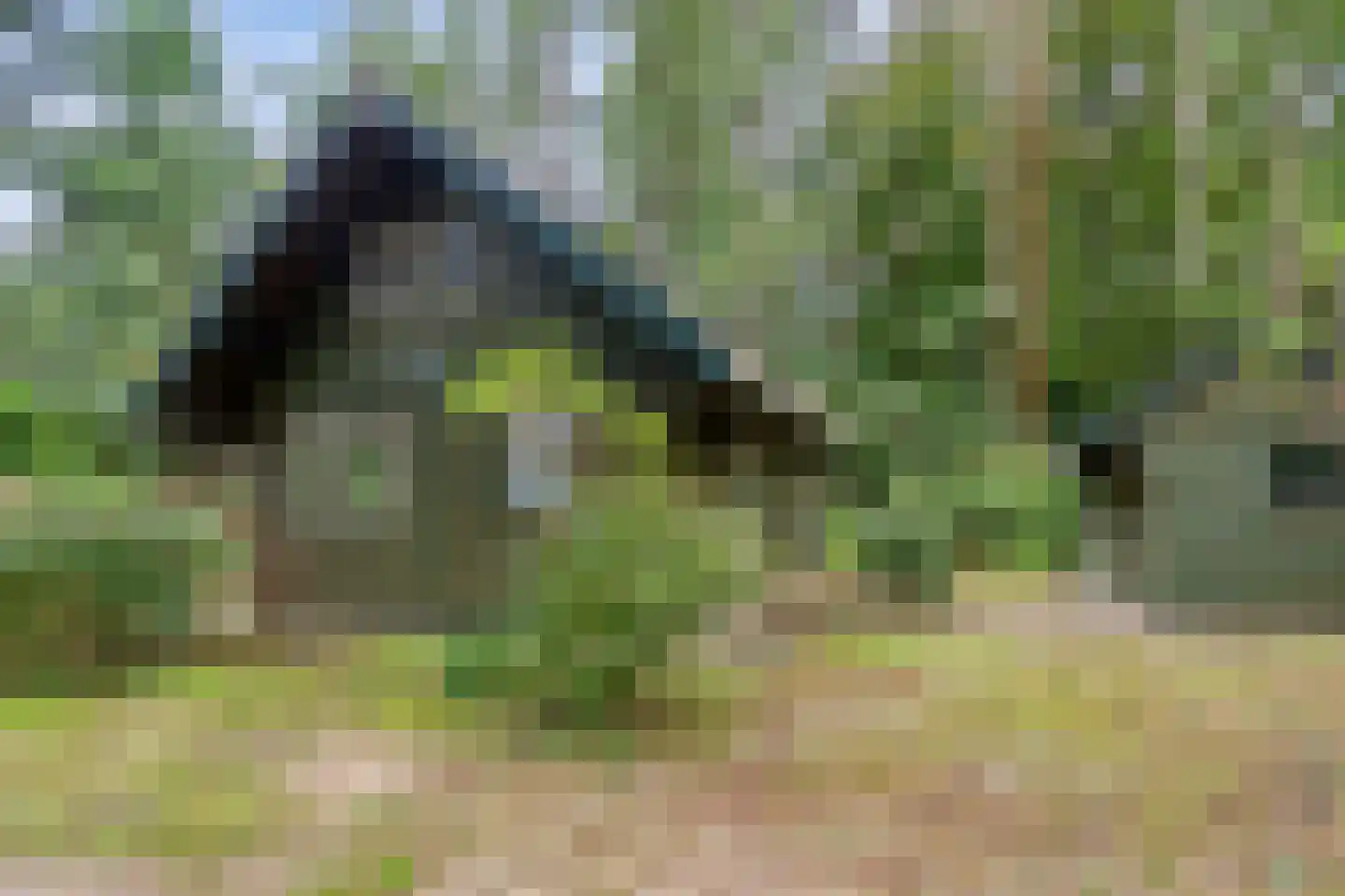 Meelkerlaan 13 Norg thumbnail 4