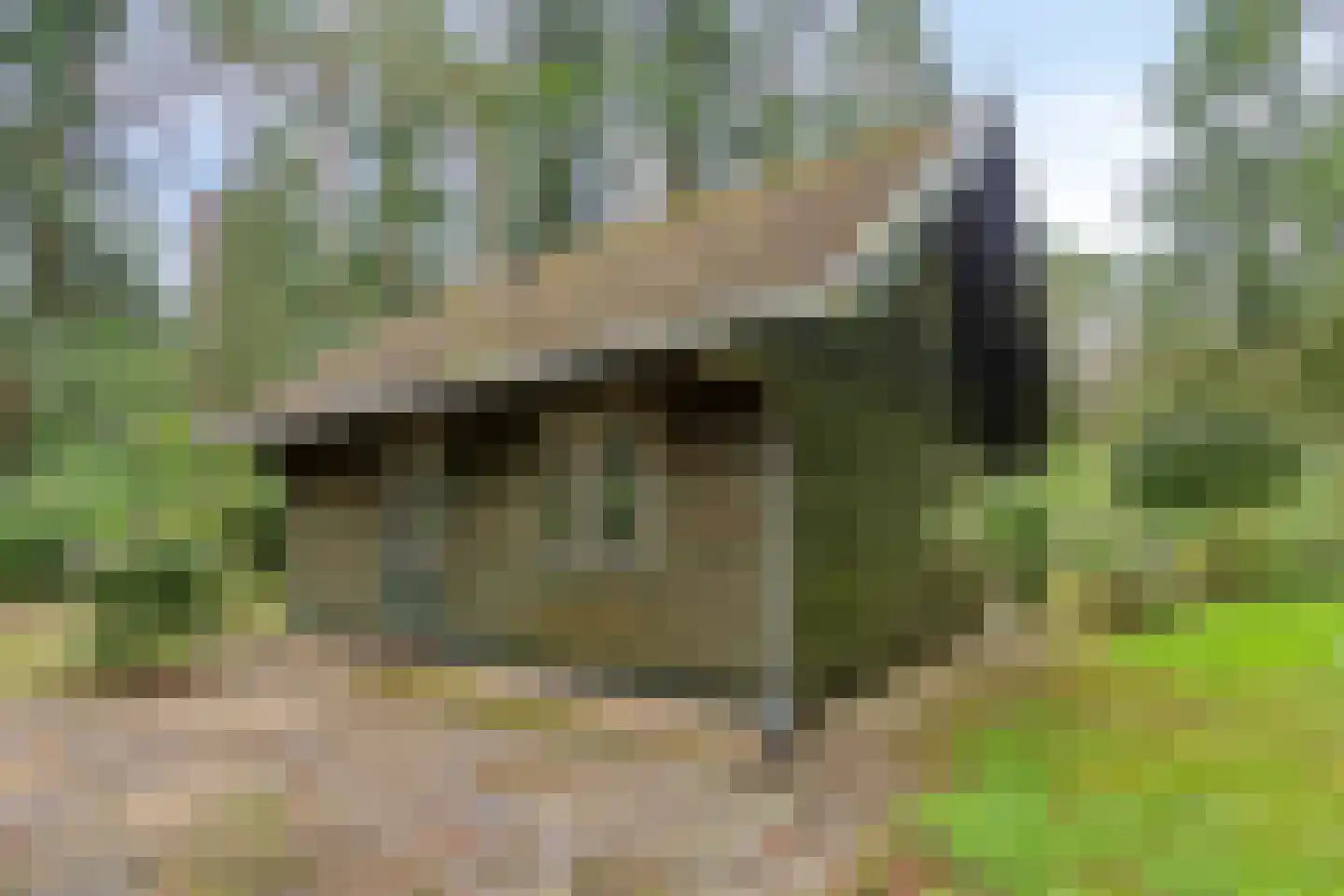 Meelkerlaan 13 Norg thumbnail 5