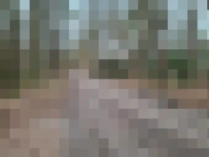 Meelkerlaan 16 Norg thumbnail 16