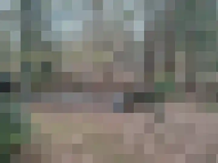 Meelkerlaan 16 Norg thumbnail 17