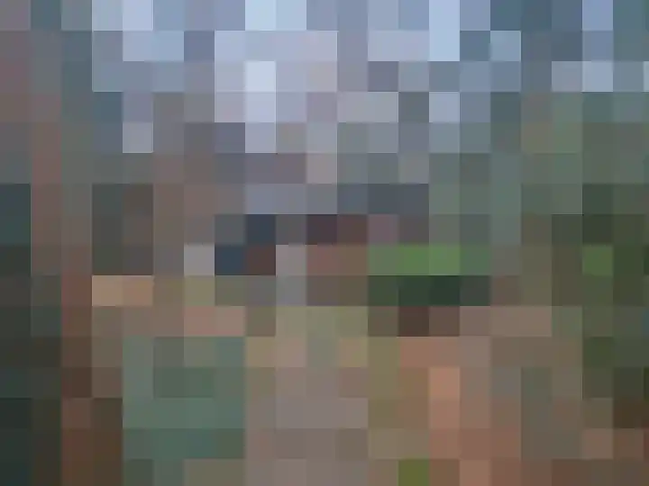 Meelkerlaan 16 Norg thumbnail 19