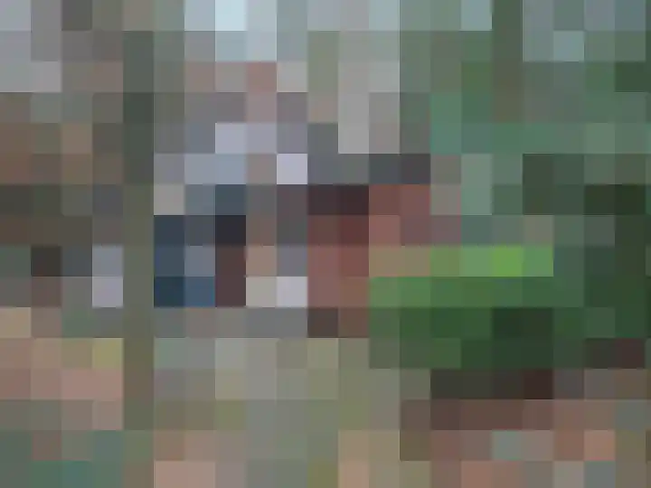Meelkerlaan 16 Norg foto 2
