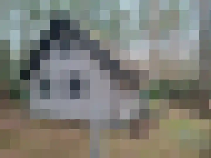 Meelkerlaan 16 Norg thumbnail 20