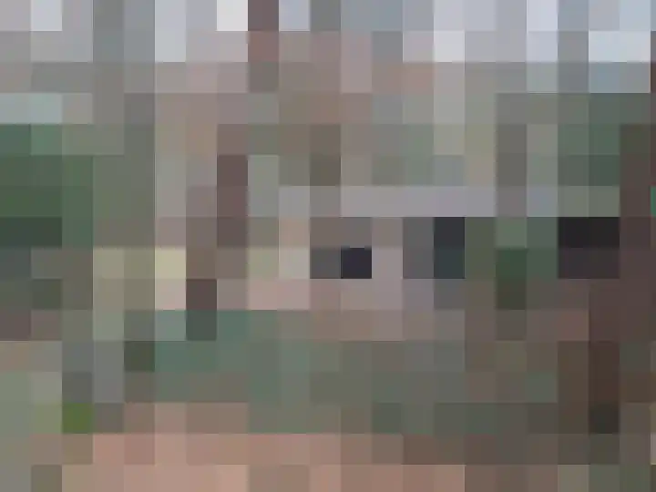 Meelkerlaan 16 Norg thumbnail 21
