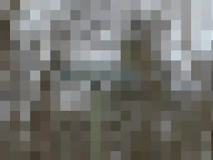 Meelkerlaan 16 Norg foto 3