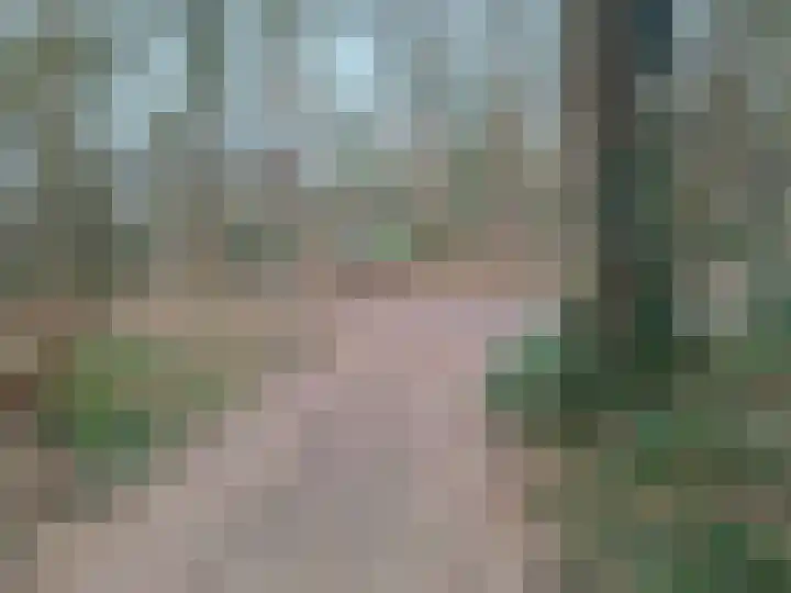 Meelkerlaan 16 Norg thumbnail 4