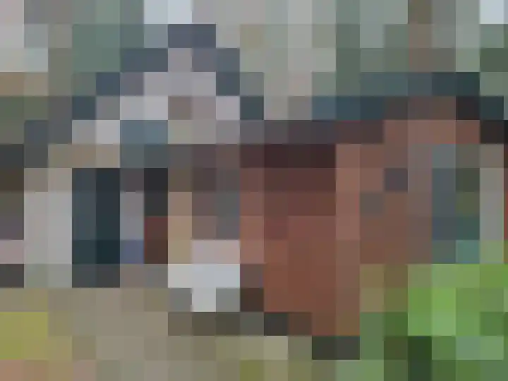 Meelkerlaan 16 Norg thumbnail 6