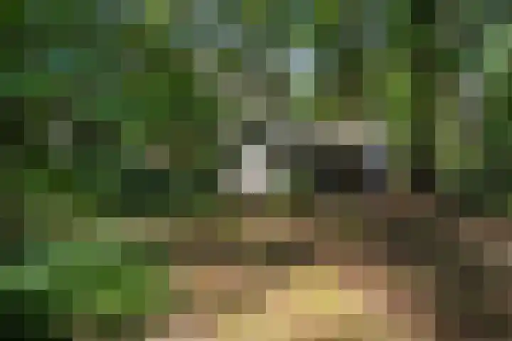 Meelkerlaan 7 Norg