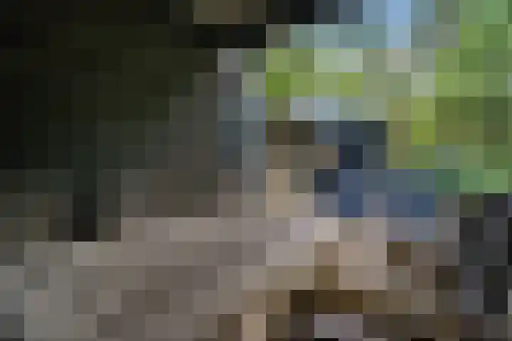 Meelkerlaan 7 Norg thumbnail 10
