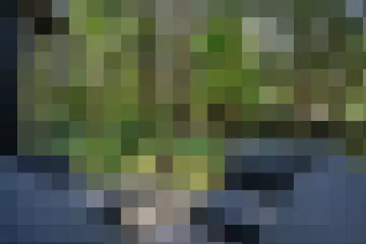Meelkerlaan 7 Norg thumbnail 12