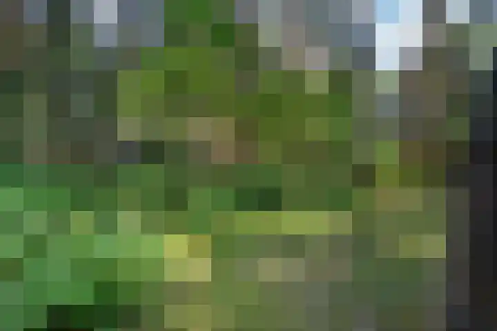 Meelkerlaan 7 Norg thumbnail 13