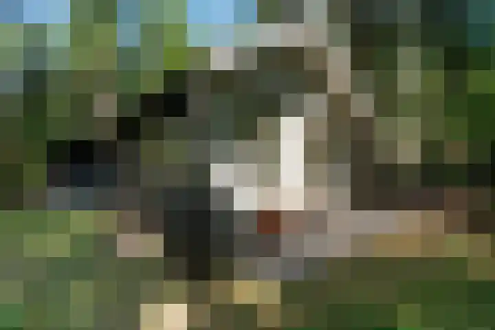 Meelkerlaan 7 Norg thumbnail 14
