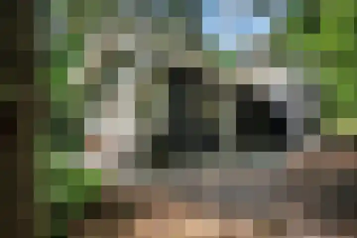 Meelkerlaan 7 Norg thumbnail 15
