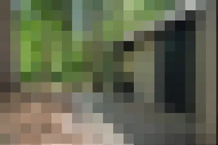 Meelkerlaan 7 Norg thumbnail 17