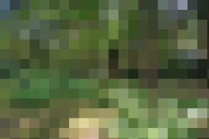 Meelkerlaan 7 Norg thumbnail 18