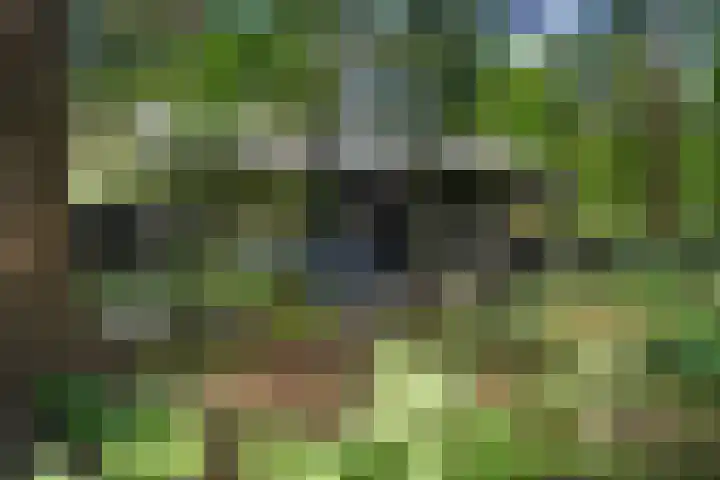 Meelkerlaan 7 Norg thumbnail 19