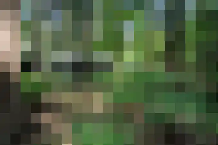 Meelkerlaan 7 Norg thumbnail 20