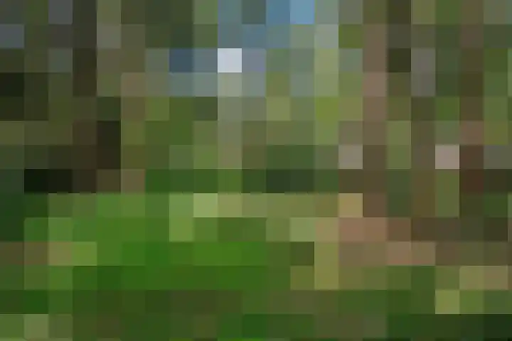 Meelkerlaan 7 Norg thumbnail 21