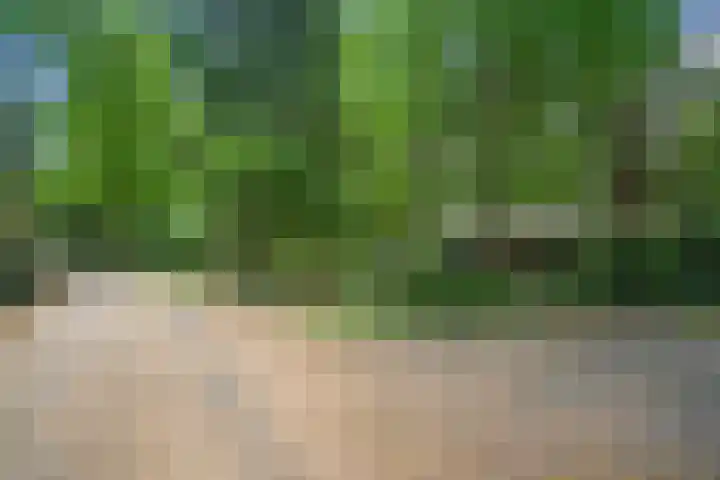 Meelkerlaan 7 Norg thumbnail 22