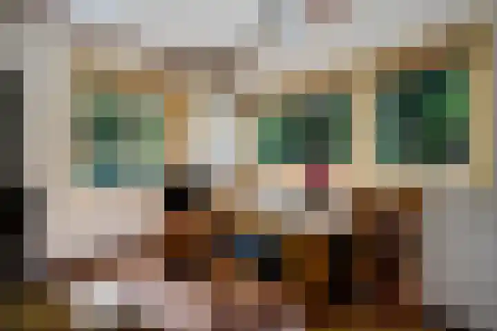 Meelkerlaan 7 Norg thumbnail 26