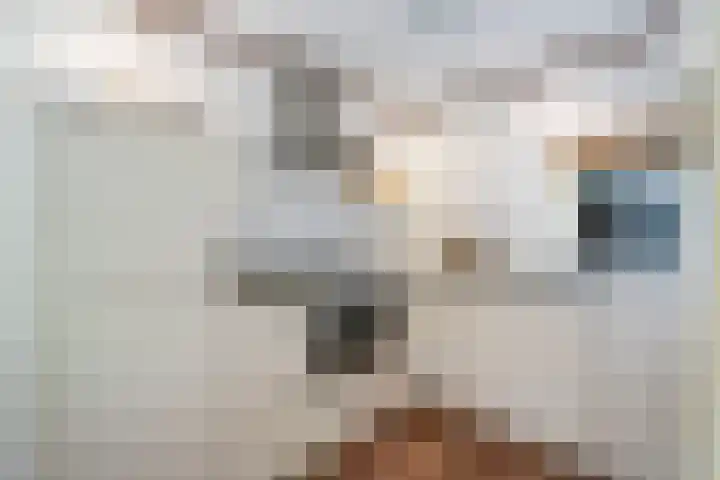 Meelkerlaan 7 Norg thumbnail 32