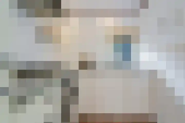Meelkerlaan 7 Norg thumbnail 33