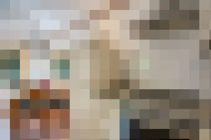 Meelkerlaan 7 Norg thumbnail 34