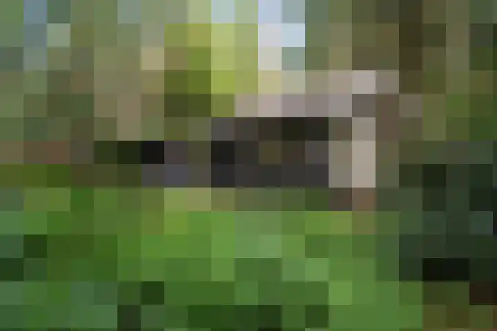 Meelkerlaan 7 Norg thumbnail 4