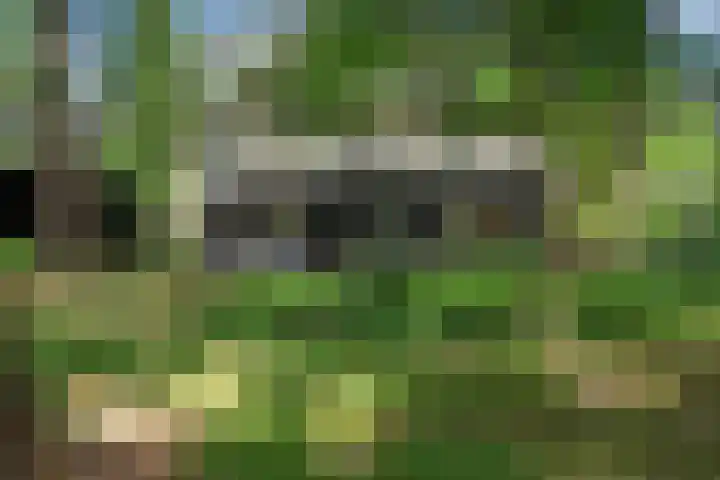 Meelkerlaan 7 Norg thumbnail 5