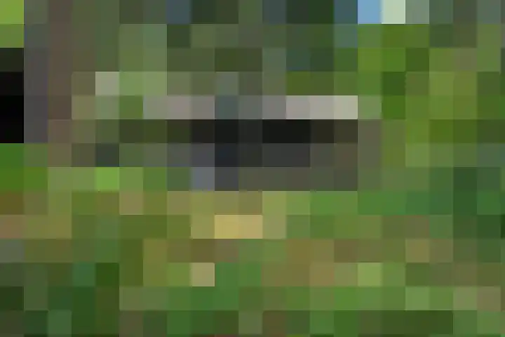 Meelkerlaan 7 Norg thumbnail 6