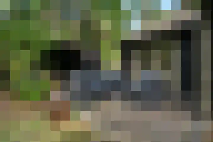 Meelkerlaan 7 Norg thumbnail 7