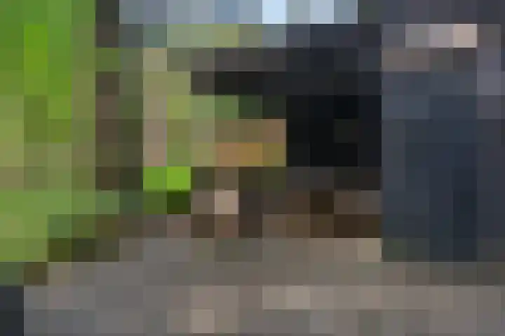 Meelkerlaan 7 Norg thumbnail 8