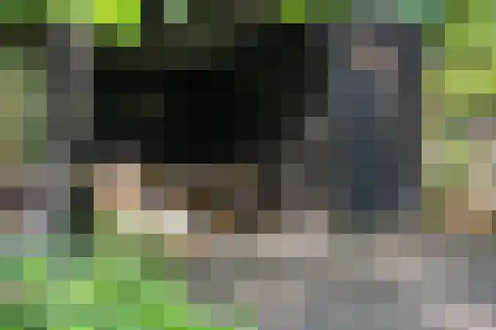 Meelkerlaan 7 Norg thumbnail 9