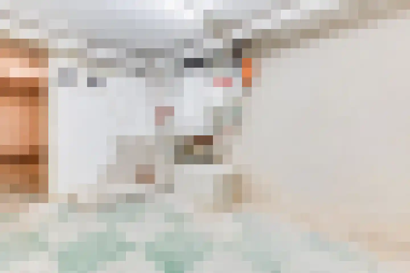 Meelovenstraat 13 Brunssum thumbnail 21