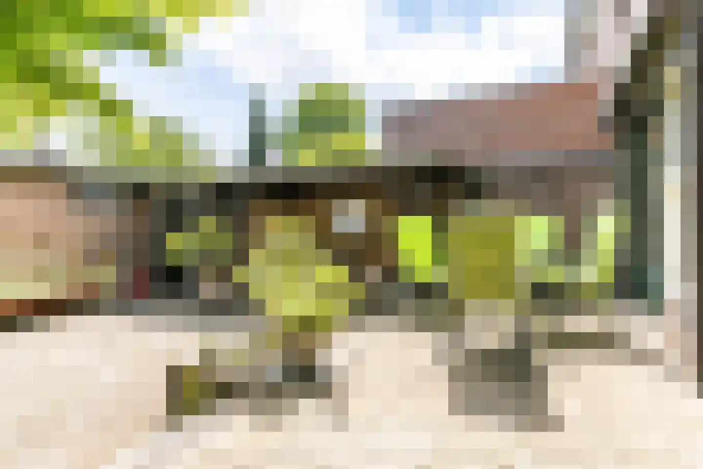 Meelovenstraat 20 Brunssum thumbnail 25