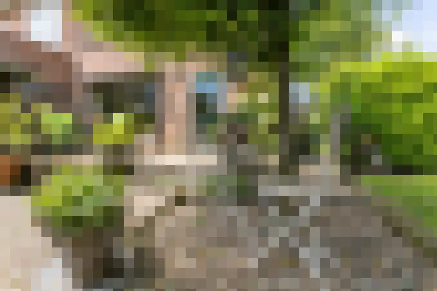 Meelovenstraat 20 Brunssum thumbnail 28