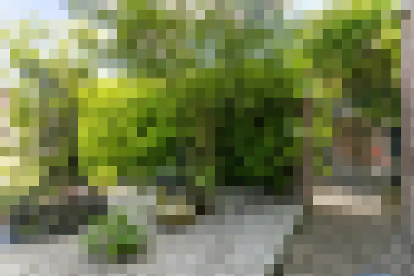 Meelovenstraat 20 Brunssum thumbnail 30