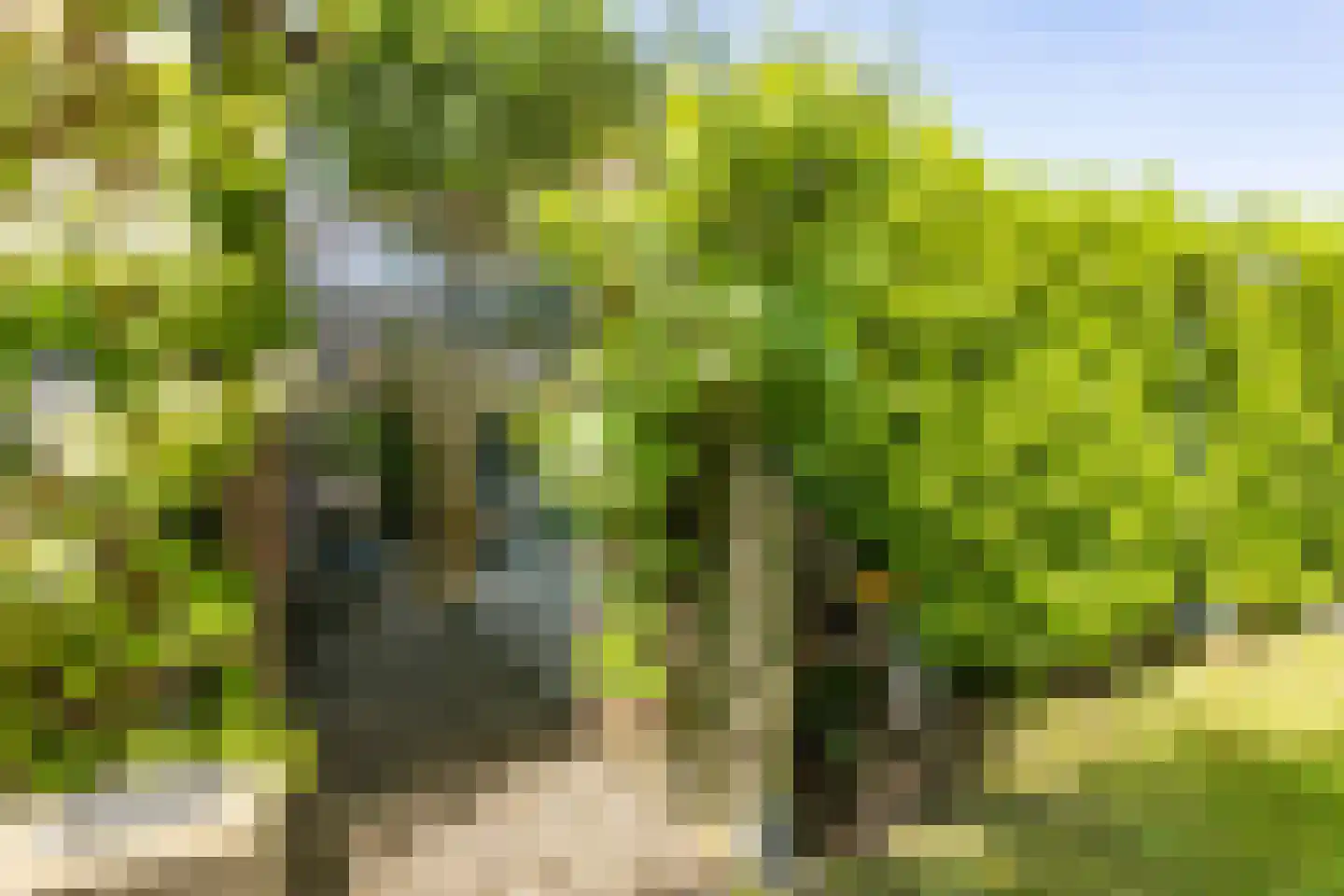 Meelovenstraat 20 Brunssum thumbnail 31