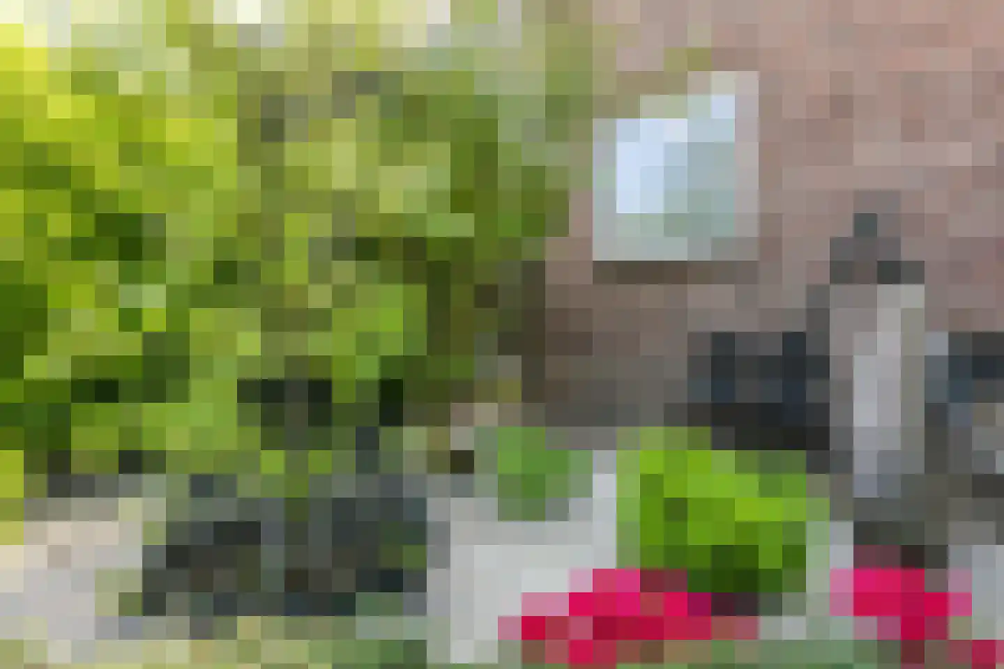 Meelovenstraat 20 Brunssum thumbnail 32