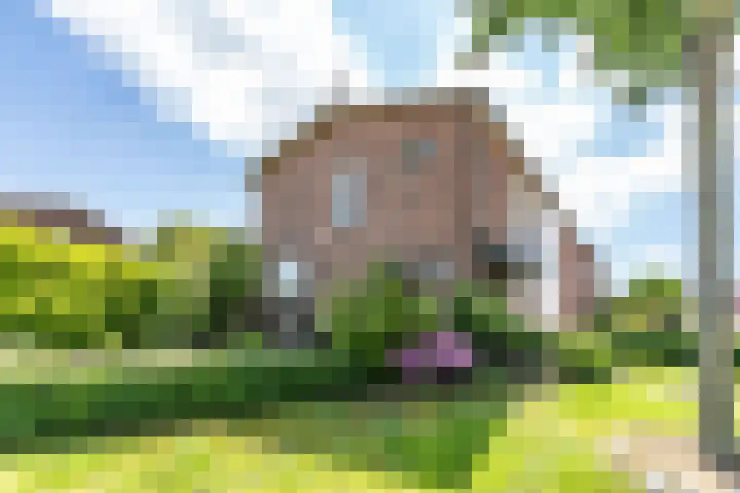 Meelovenstraat 20 Brunssum thumbnail 33