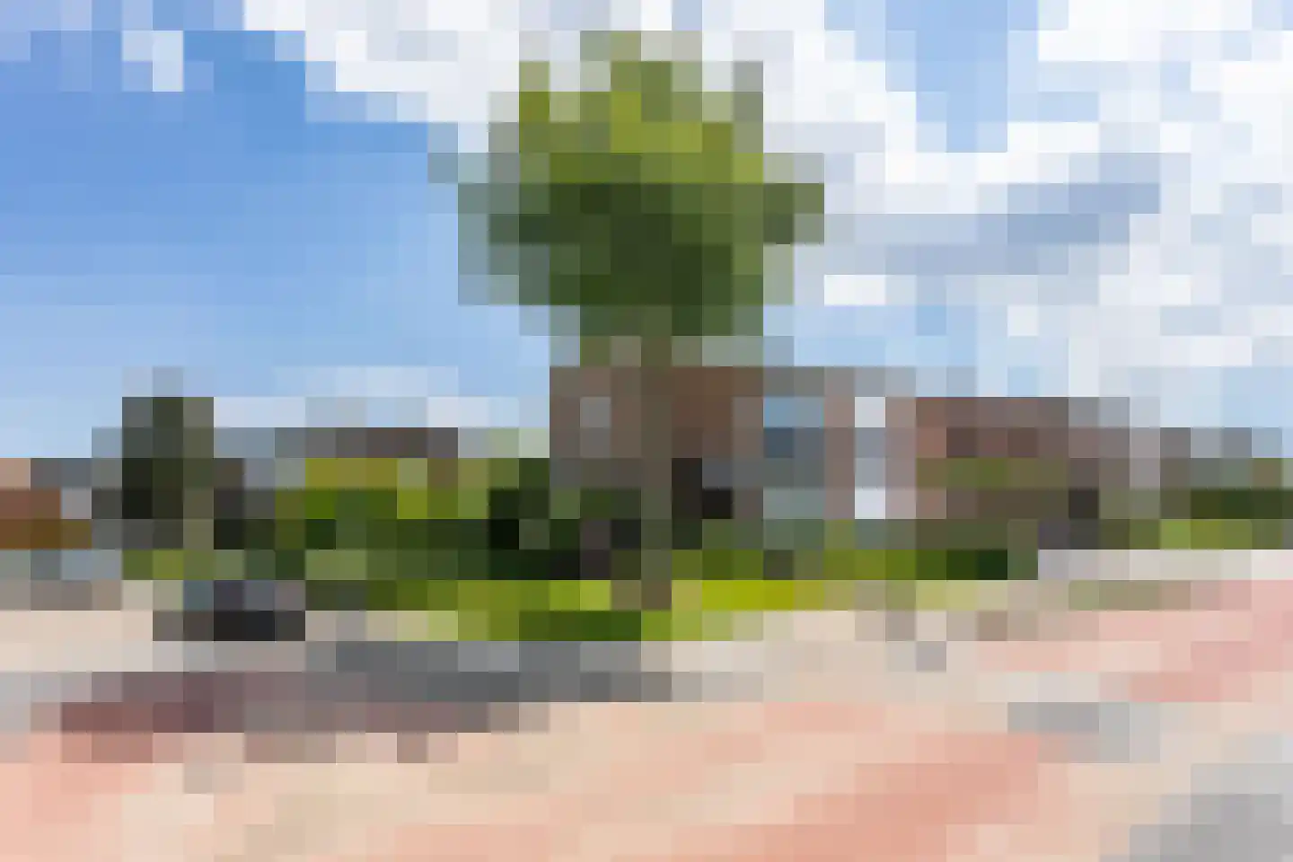 Meelovenstraat 20 Brunssum thumbnail 38
